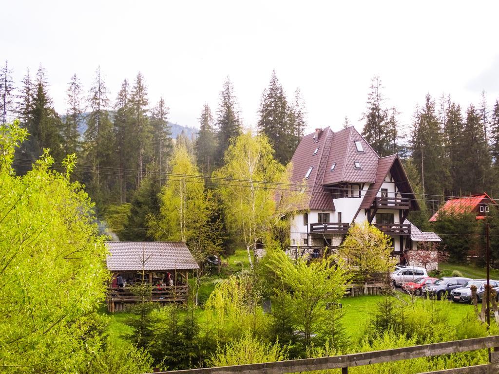 Pensiunea Casa Noastra Arieşeni エクステリア 写真