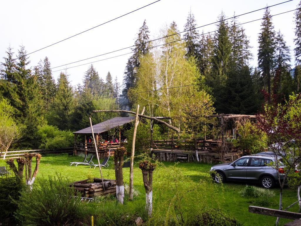 Pensiunea Casa Noastra Arieşeni エクステリア 写真