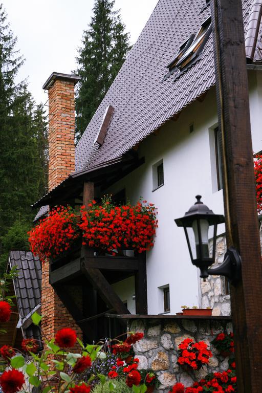 Pensiunea Casa Noastra Arieşeni エクステリア 写真