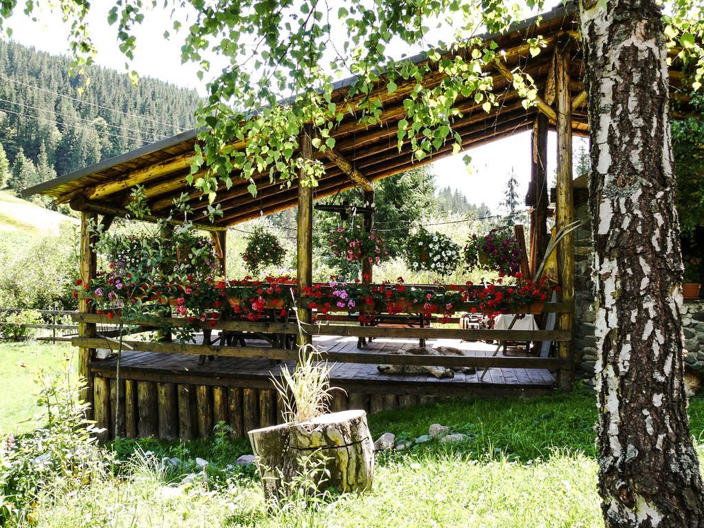 Pensiunea Casa Noastra Arieşeni エクステリア 写真