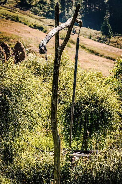 Pensiunea Casa Noastra Arieşeni エクステリア 写真