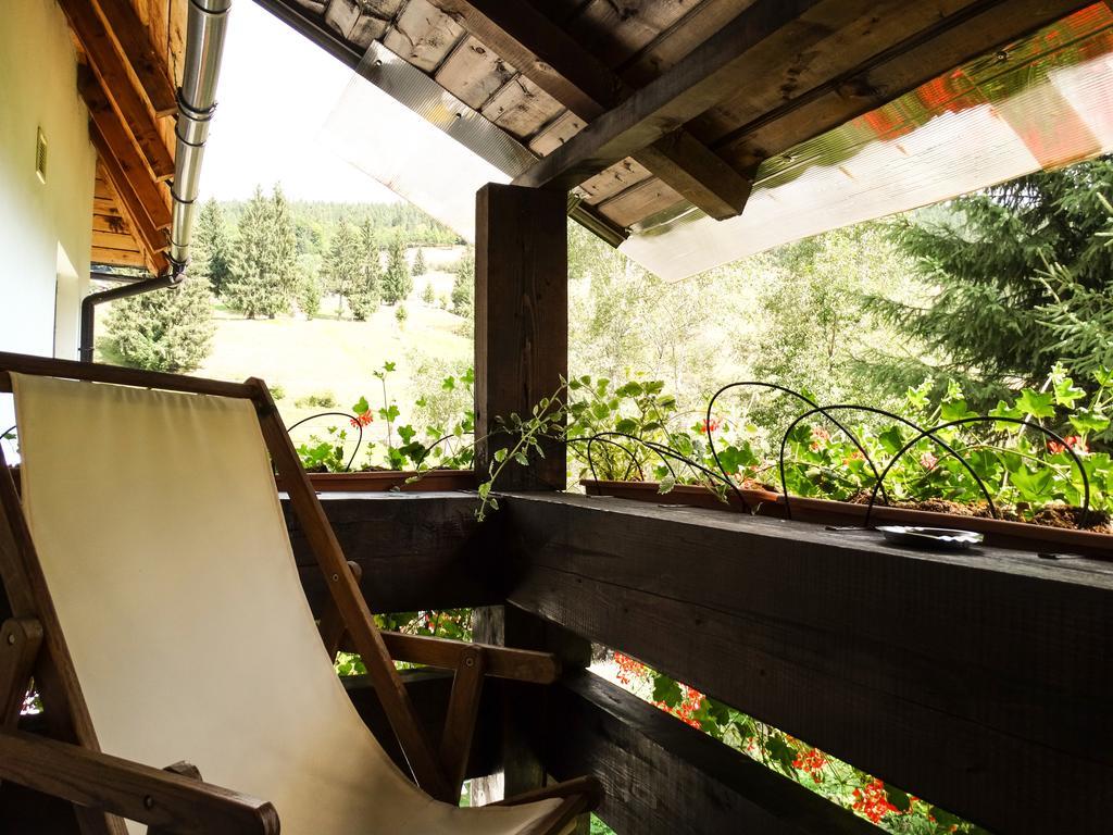 Pensiunea Casa Noastra Arieşeni エクステリア 写真